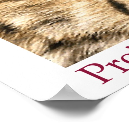 Project Camelot Poster (Hoek)