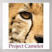 Project Camelot Poster (Voorkant)
