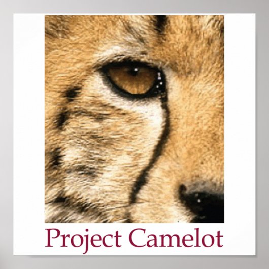 Project Camelot Poster (Voorkant)
