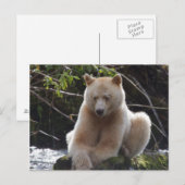 Project Spirit Beer Briefkaart (Voorkant / Achterkant)