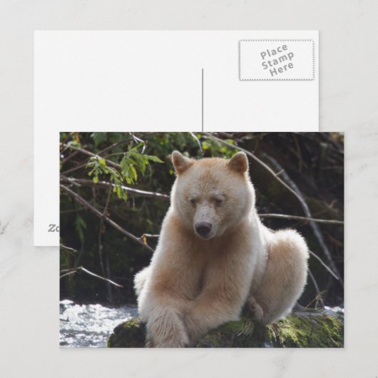 Project Spirit Beer Briefkaart (Voorkant / Achterkant)