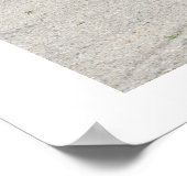 ProjectCamaro.com 11e vergadering van 11 juni Poster (Hoek)