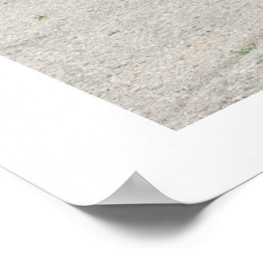 ProjectCamaro.com 11e vergadering van 11 juni Poster (Hoek)