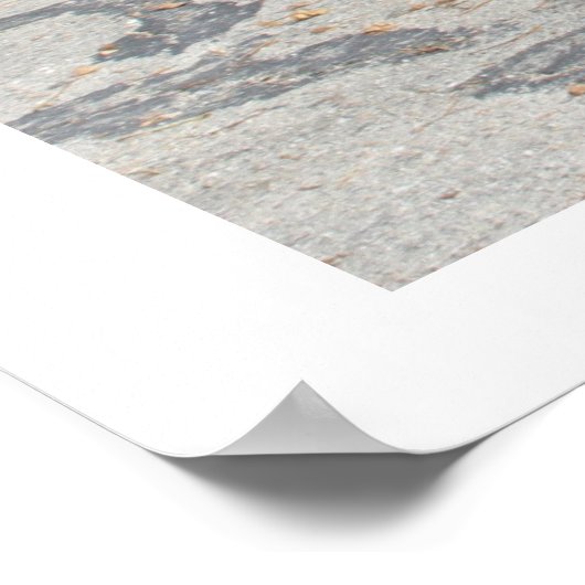 ProjectCamaro.com's zwarte Camaro Poster (Hoek)