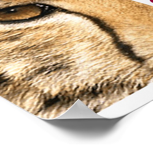 PROJECTCAMELOT-Poster Poster (Hoek)