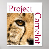 PROJECTCAMELOT-Poster Poster (Voorkant)