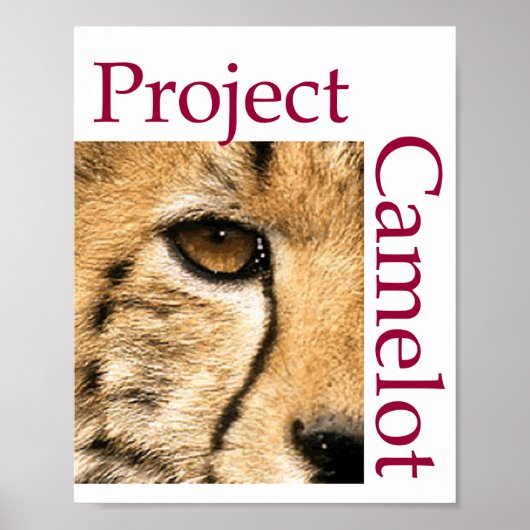 PROJECTCAMELOT-Poster Poster (Voorkant)