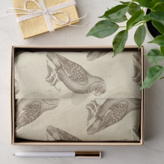 projecties op de ontkoppeling van Cream Tissuepapier (Geschenk)