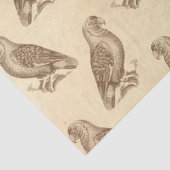 projecties op de ontkoppeling van Cream Tissuepapier (Detail)