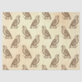 projecties op de ontkoppeling van Cream Tissuepapier (Voorkant)