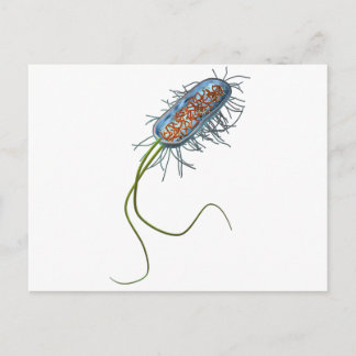 Prokaryotic cel briefkaart