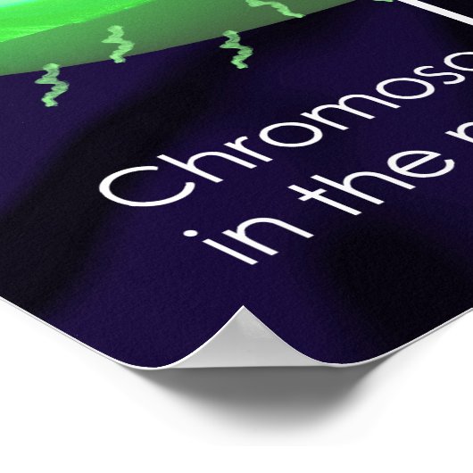 Prokaryotisch celdiagram poster (Hoek)