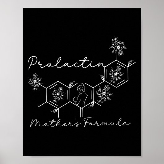 Prolactin Mothers Formula Lactation Nurse Labor An Poster (Voorkant)