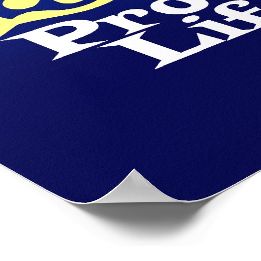 ProLife Poster (Hoek)