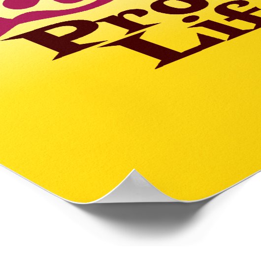 ProLife Poster (Hoek)