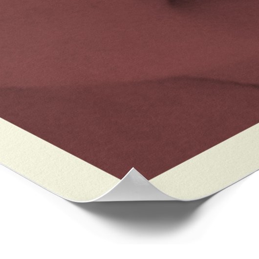 ProLife Poster (Hoek)