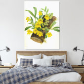 Promenaea Citrina  Lindenia Orchids Canvas Afdruk (Insitu (Slaapkamer))