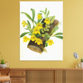Promenaea Citrina  Lindenia Orchids Canvas Afdruk (Insitu (Woonkamer))