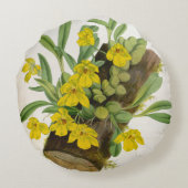 Promenaea Citrina  Lindenia Orchids Rond Kussen (Achterkant)