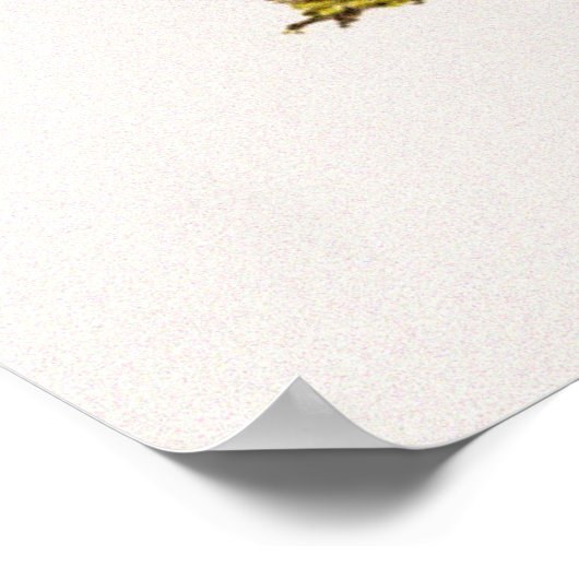  Promenaea Stapelioides Orchidee Flower Poster (Hoek)