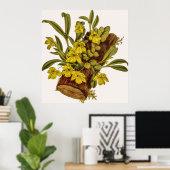 Promenaea Stapelioides Orchidee Flower Poster (Thuiskantoor)