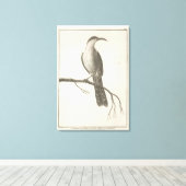 Promerops of Bee Eater van Californië Canvas Afdruk (Insitu (Houten vloer))