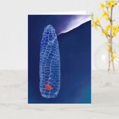 Prometheus (kaart) kaart (Gele Bloem)