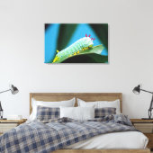 Prometheus Mot Rups, Callosamia Canvas Afdruk (Insitu (Slaapkamer))