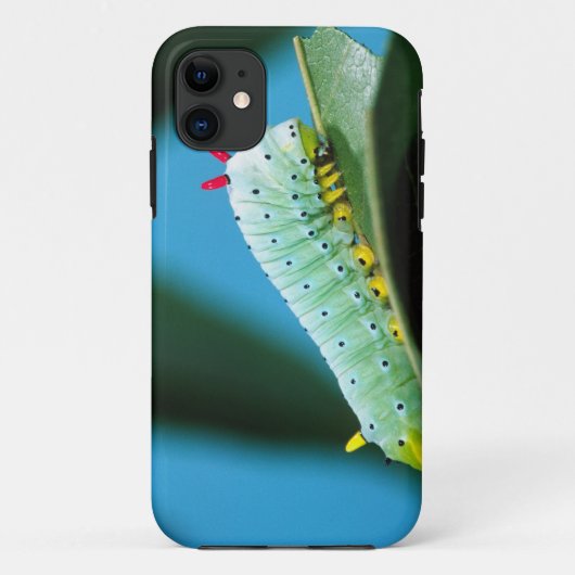 Prometheus Mot Rups, Callosamia Case-Mate iPhone Case (Achterkant)