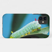 Prometheus Mot Rups, Callosamia Case-Mate iPhone Case (Achterkant (horizontaal))