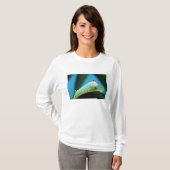 Prometheus Mot Rups, Callosamia T-shirt (Voorkant volledig)