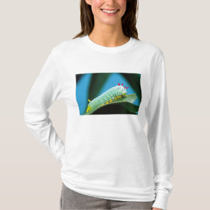 Prometheus Mot Rups, Callosamia T-shirt