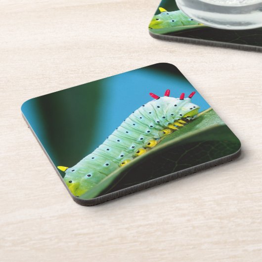 Prometheus Moth Caterpijler, Callosamia Drankjes Onderzetter (Linkerzijde)