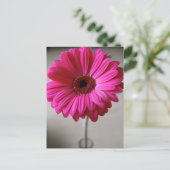 Promise Gerbera Briefkaart (Staand voorkant)