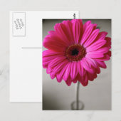 Promise Gerbera Briefkaart (Voorkant / Achterkant)