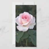 Promise Roos-fotokaart afdrukken (Voorkant)