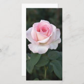 Promise Roos-fotokaart afdrukken (Voorkant / Achterkant)