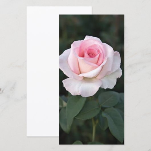 Promise Roos-fotokaart afdrukken (Voorkant / Achterkant)