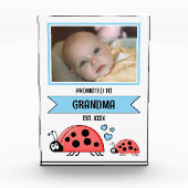 Promoted to grandma ladybugs blue fotoblokken (Voorkant)
