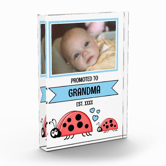Promoted to grandma ladybugs blue fotoblokken (Links)