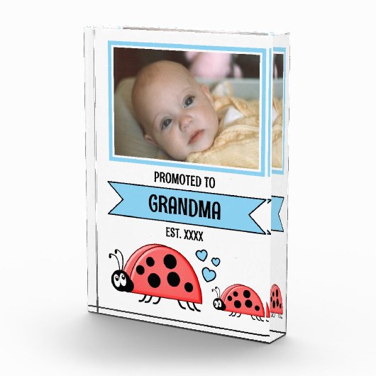 Promoted to grandma ladybugs blue fotoblokken (Rechts)