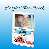 Promoted to grandma ladybugs blue fotoblokken