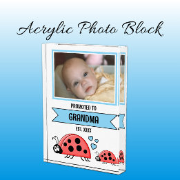 Promoted to grandma ladybugs blue fotoblokken