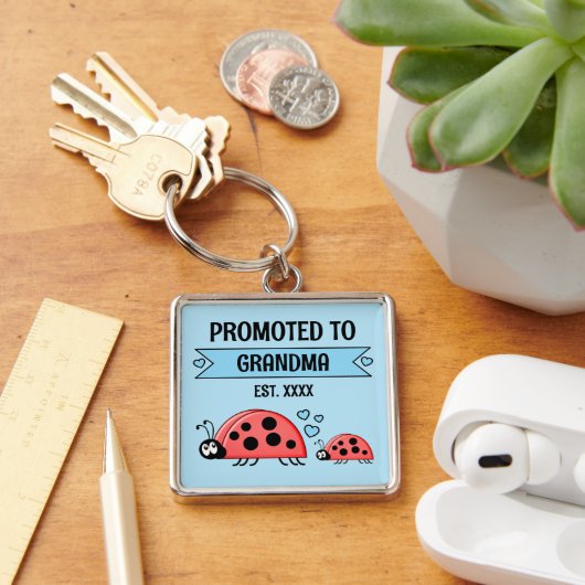 Promoted to Grandma ladybugs blue Sleutelhanger (Bureau)