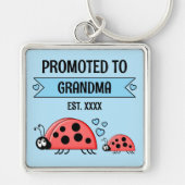 Promoted to Grandma ladybugs blue Sleutelhanger (Voorkant)