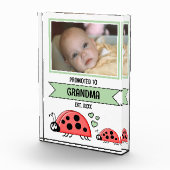 Promoted to grandma ladybugs green fotoblokken (Rechts)