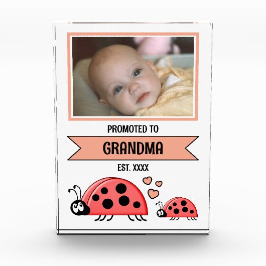 Promoted to grandma ladybugs peach fotoblokken (Voorkant)