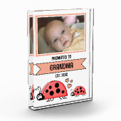 Promoted to grandma ladybugs peach fotoblokken (Links)