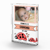 Promoted to grandma ladybugs peach fotoblokken (Rechts)