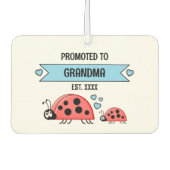 Promoted to grandma ladybugs photo blue luchtverfrisser (Voorkant)